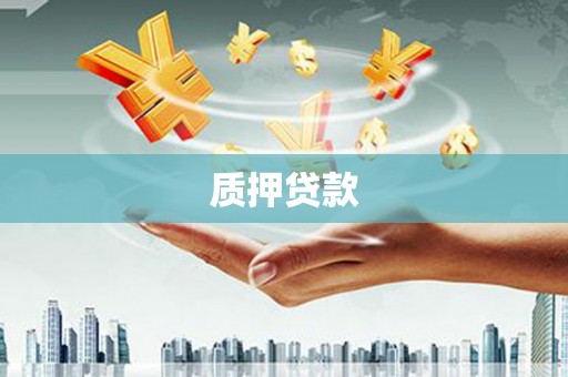 平南质押贷款