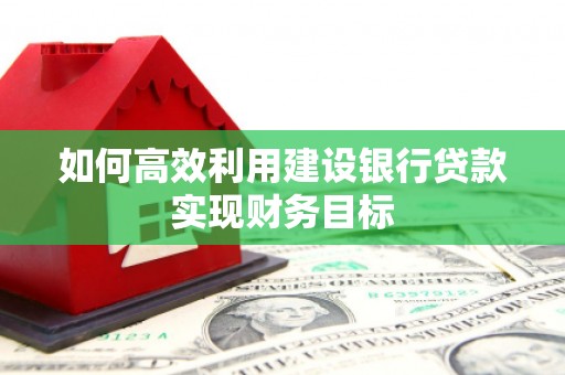 平南如何高效利用建设银行贷款实现财务目标