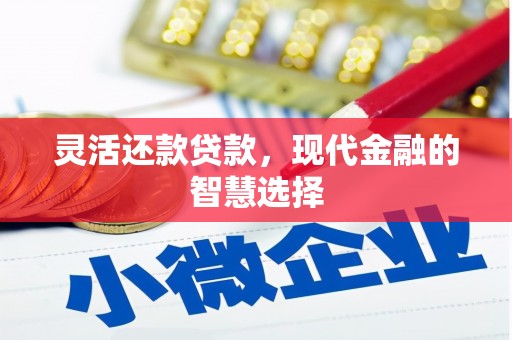 平南灵活还款贷款，现代金融的智慧选择