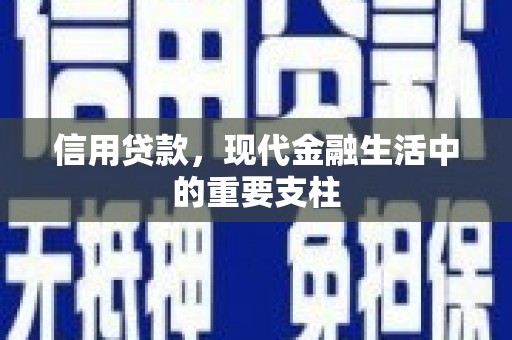 平南信用贷款，现代金融生活中的重要支柱