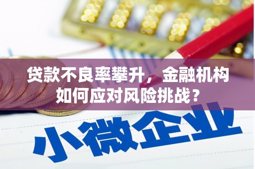 平南贷款不良率攀升，金融机构如何应对风险挑战？
