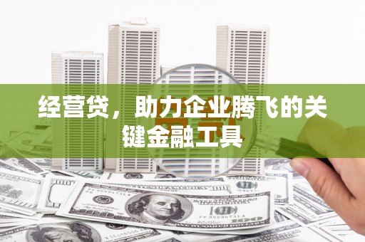 平南经营贷，助力企业腾飞的关键金融工具