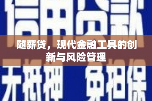 平南随薪贷，现代金融工具的创新与风险管理