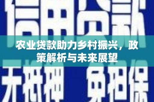 平南农业贷款助力乡村振兴，政策解析与未来展望