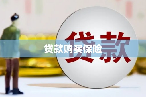 平南贷款购买保险