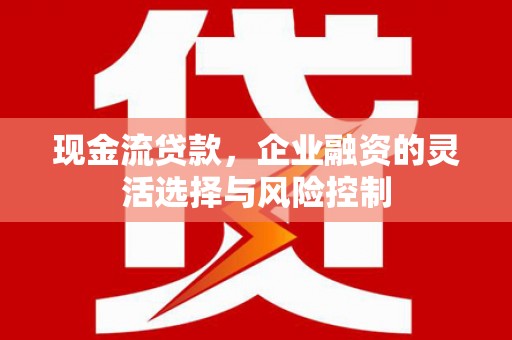 平南现金流贷款，企业融资的灵活选择与风险控制