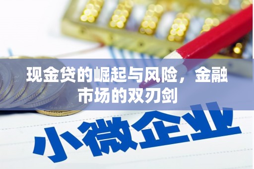 平南现金贷的崛起与风险，金融市场的双刃剑