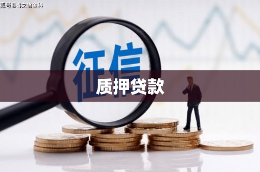 平南质押贷款