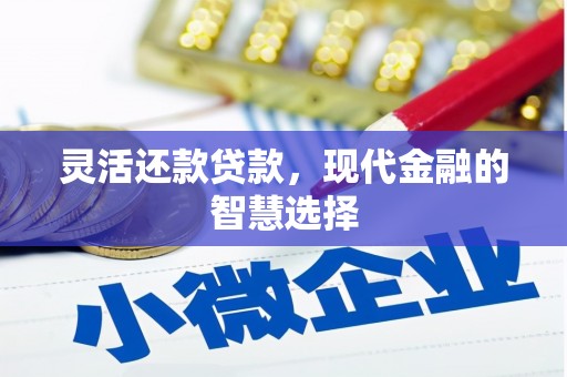 平南灵活还款贷款，现代金融的智慧选择