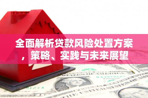 平南全面解析贷款风险处置方案，策略、实践与未来展望