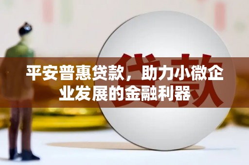 平南平安普惠贷款，助力小微企业发展的金融利器