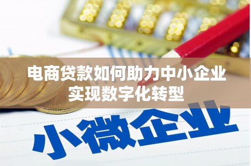 平南电商贷款如何助力中小企业实现数字化转型