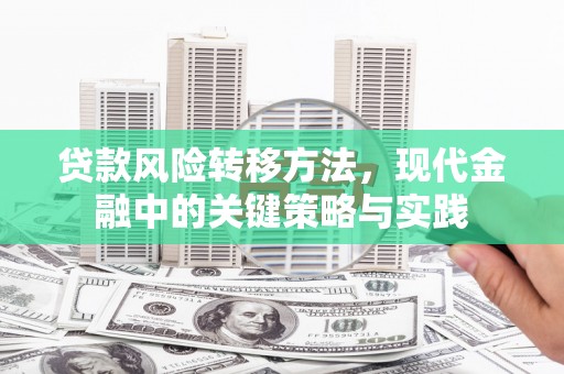 平南贷款风险转移方法，现代金融中的关键策略与实践