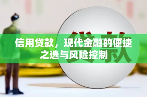 平南信用贷款，现代金融的便捷之选与风险控制