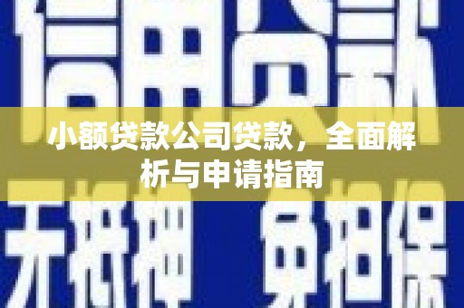 平南小额贷款公司贷款，全面解析与申请指南