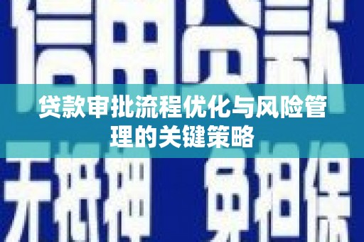 平南贷款审批流程优化与风险管理的关键策略