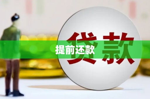 平南提前还款