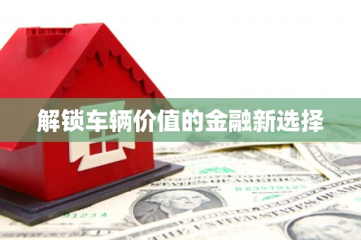 平南解锁车辆价值的金融新选择