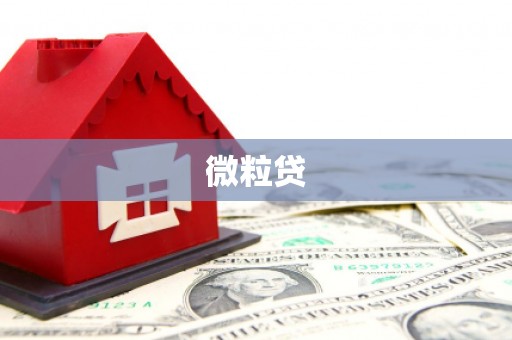 平南微粒贷