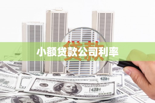 平南小额贷款公司利率