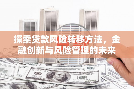 平南探索贷款风险转移方法，金融创新与风险管理的未来