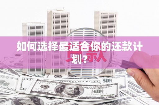 平南如何选择最适合你的还款计划？