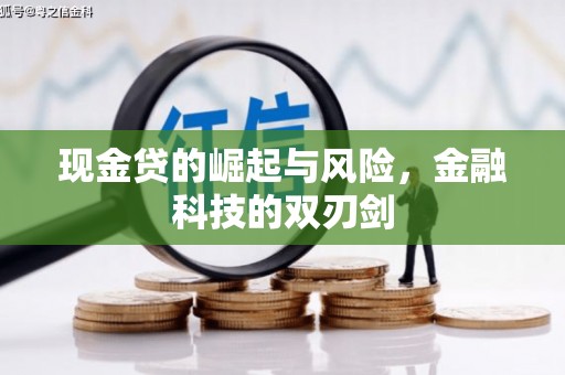 平南现金贷的崛起与风险，金融科技的双刃剑