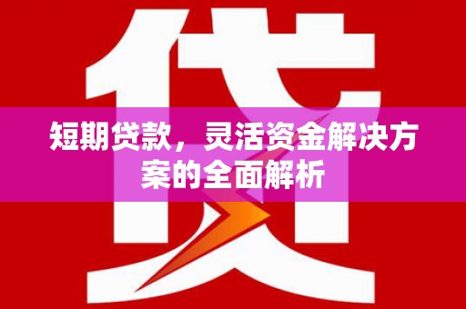 平南短期贷款，灵活资金解决方案的全面解析