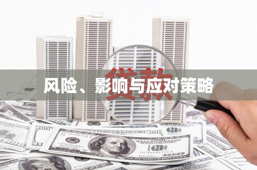 平南风险、影响与应对策略