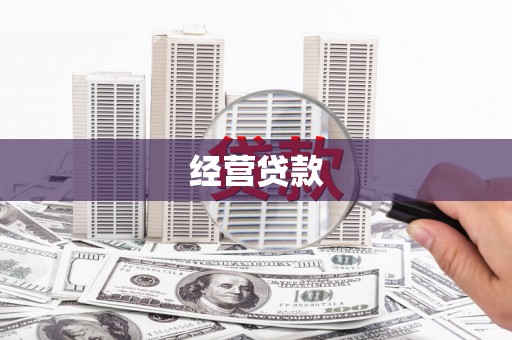 平南经营贷款