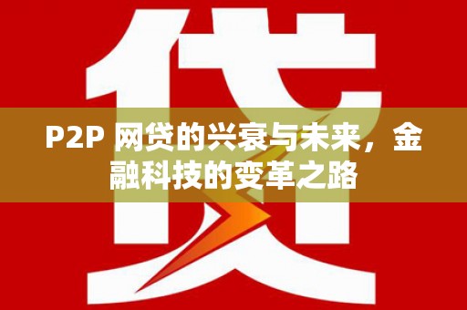 平南P2P 网贷的兴衰与未来，金融科技的变革之路
