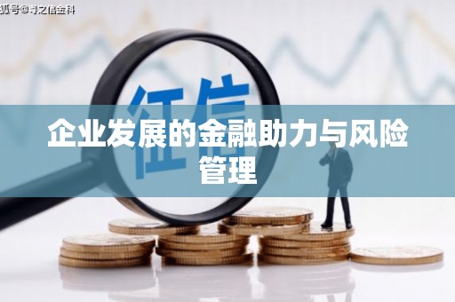 平南企业发展的金融助力与风险管理