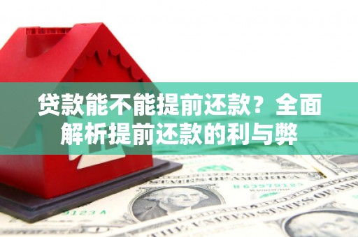 平南贷款能不能提前还款？全面解析提前还款的利与弊