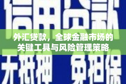 平南外汇贷款，全球金融市场的关键工具与风险管理策略