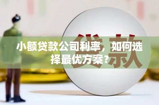 平南小额贷款公司利率，如何选择最优方案？