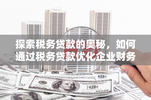 平南探索税务贷款的奥秘，如何通过税务贷款优化企业财务