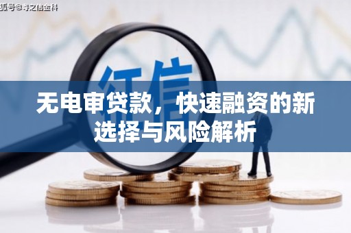 平南无电审贷款，快速融资的新选择与风险解析
