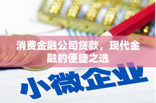 平南消费金融公司贷款，现代金融的便捷之选