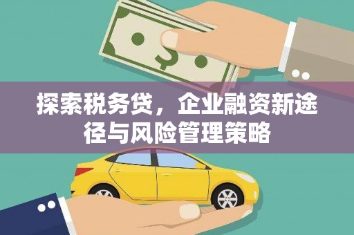 平南探索税务贷，企业融资新途径与风险管理策略