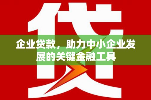 平南企业贷款，助力中小企业发展的关键金融工具