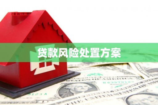 平南贷款风险处置方案