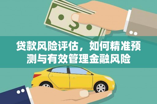 平南贷款风险评估，如何精准预测与有效管理金融风险