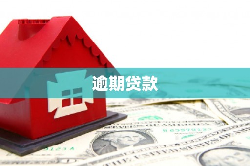 平南逾期贷款