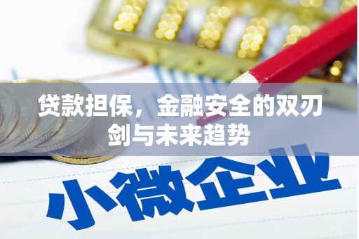 平南贷款担保，金融安全的双刃剑与未来趋势
