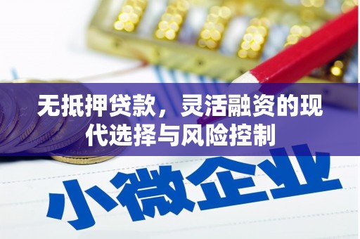 平南无抵押贷款，灵活融资的现代选择与风险控制