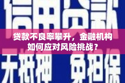 平南贷款不良率攀升，金融机构如何应对风险挑战？