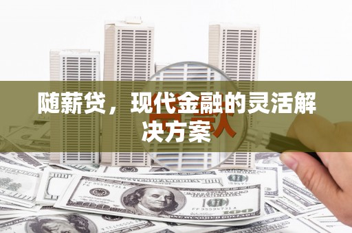 平南随薪贷，现代金融的灵活解决方案