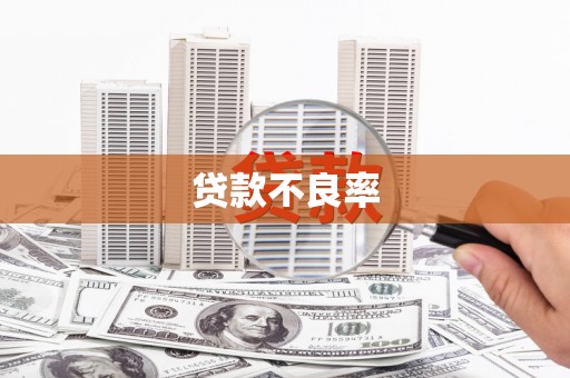 平南贷款不良率