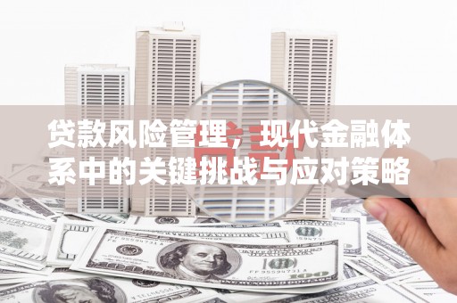 平南贷款风险管理，现代金融体系中的关键挑战与应对策略