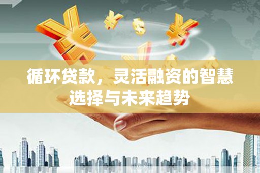 平南循环贷款，灵活融资的智慧选择与未来趋势